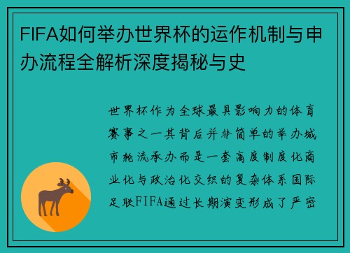 FIFA如何举办世界杯的运作机制与申办流程全解析深度揭秘与史